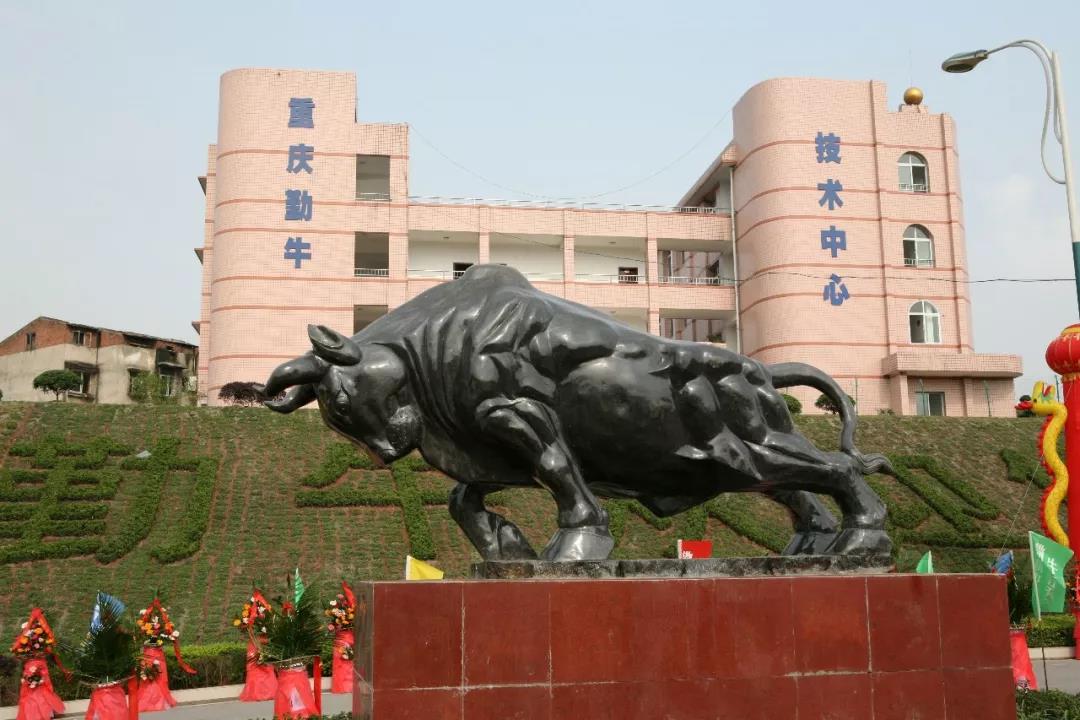 走進(jìn)勤牛陳列室，砥礪民企強(qiáng)國志